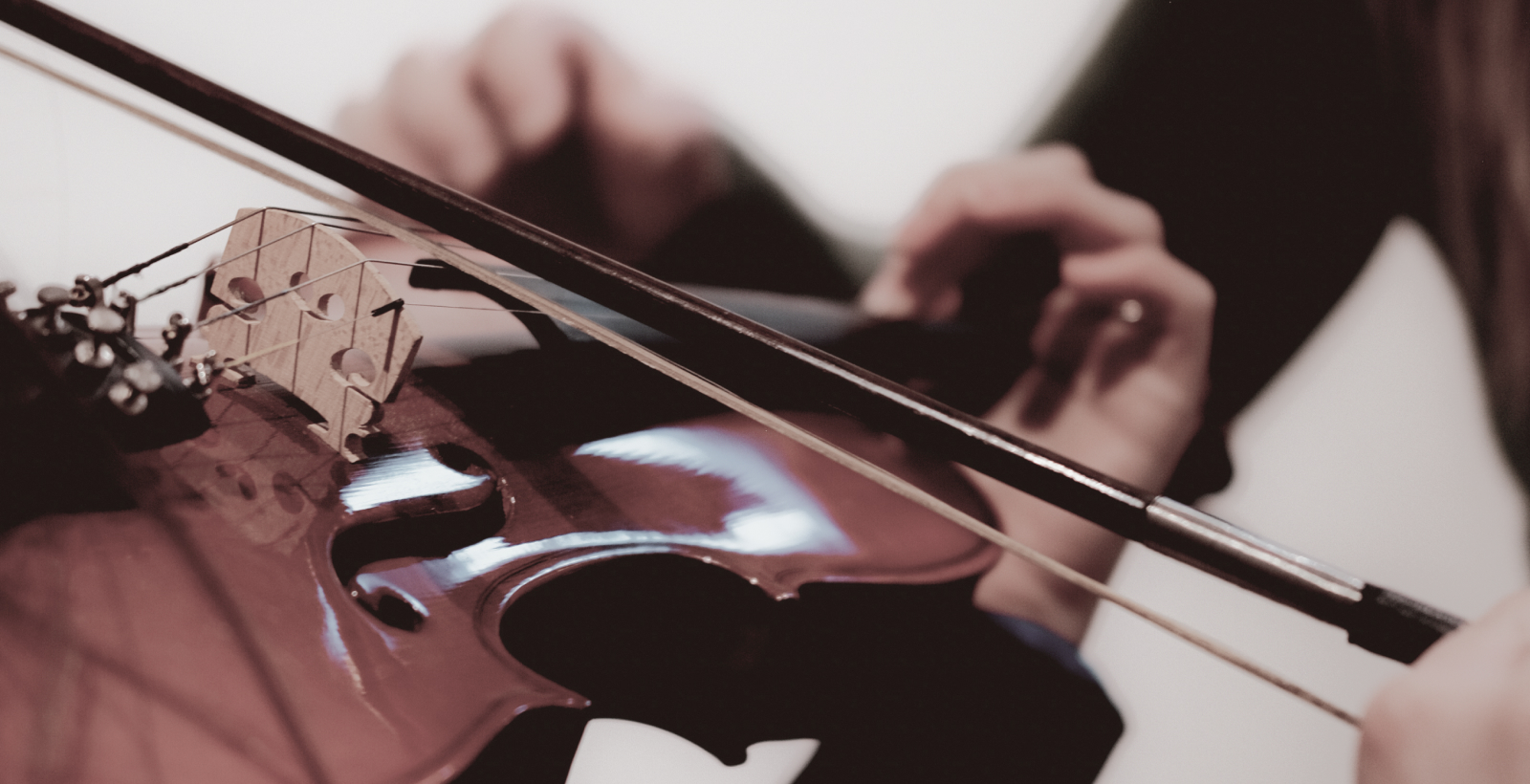 VIOLINO
